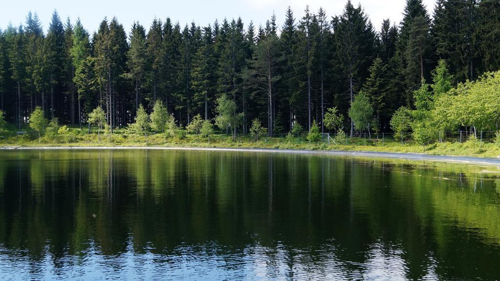 Apartament Haus Rose Wenigzell Zewnętrze zdjęcie
