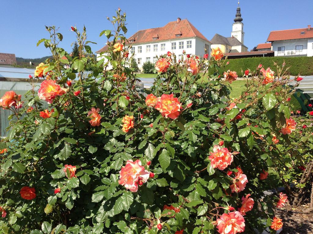 Apartament Haus Rose Wenigzell Zewnętrze zdjęcie